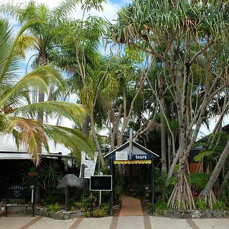 Noosa Backpackers Resort Нусавиль Экстерьер фото